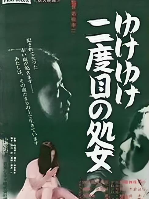 ゆけゆけ二度目の処女_百度百科
