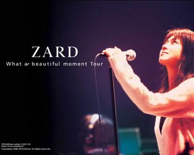 ZARD（Japanese band）_Baiduwiki
