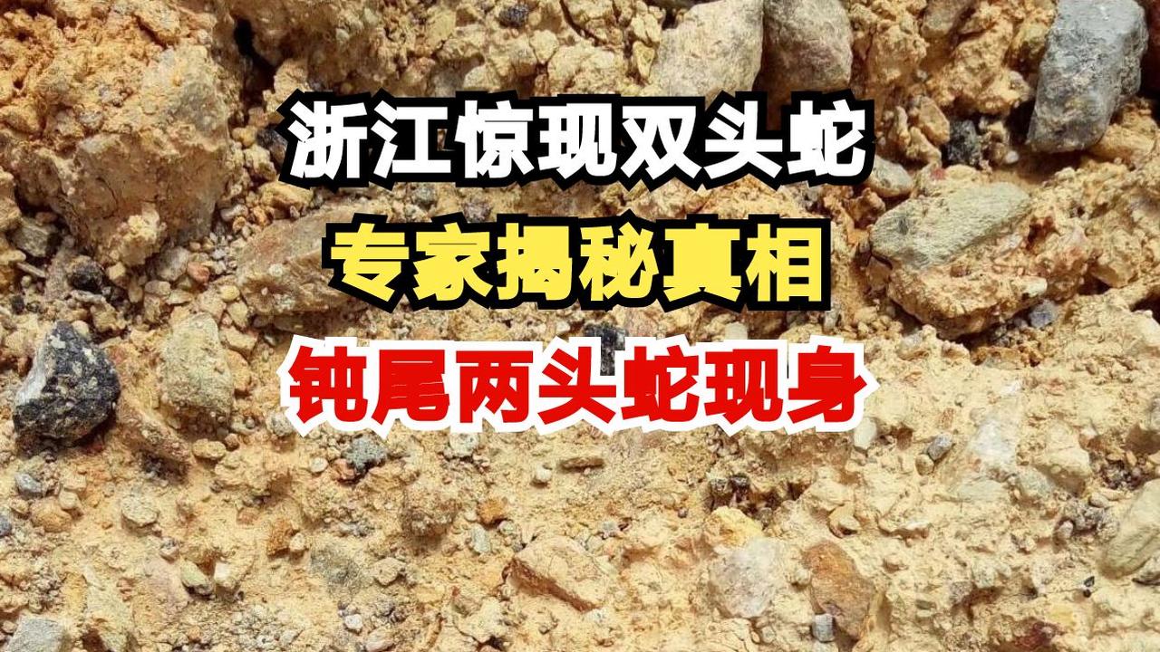 双頭蛇（蛇の変異現象）_百度百科