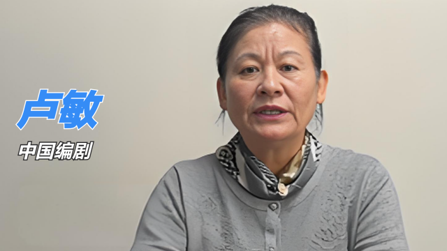 Lu Min（A female screenwriter from China Mainland.）_Baiduwiki