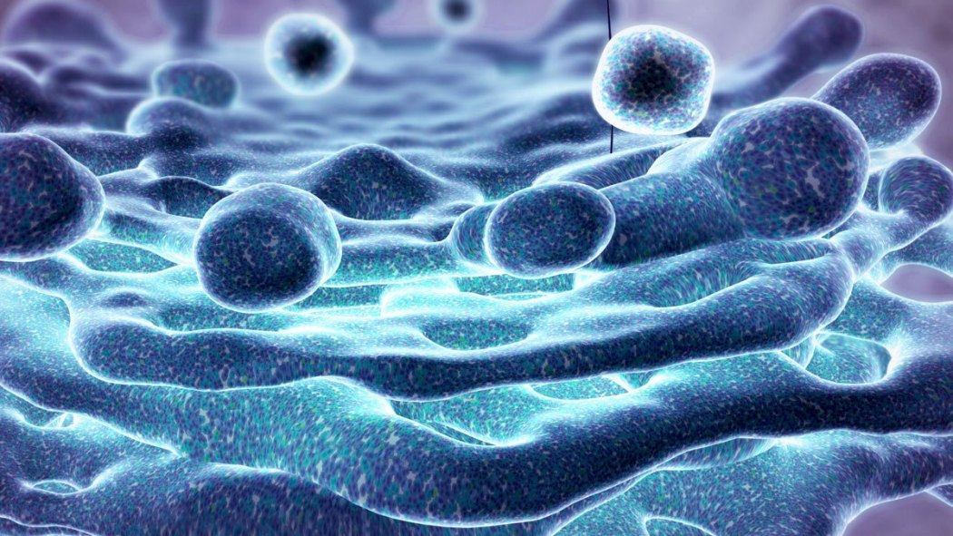 Necrotizing lymphadenitis_Baiduwiki