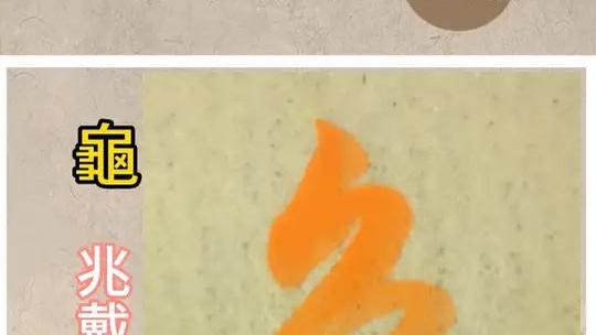 亀_百度百科