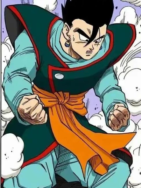 Son Gohan（A character in the Japanese manga *Dragon Ball* and its ...