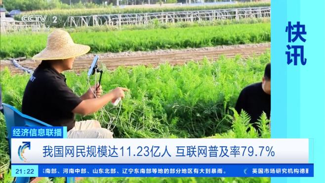 Chinese Netizens_Baiduwiki