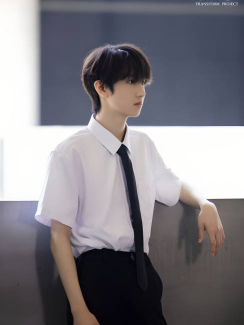 TransForm Project（TF Third Generation Debut Documentary）_Baiduwiki