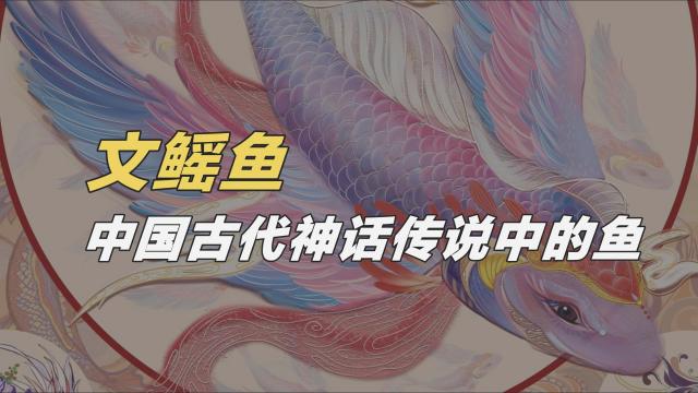 文鰩魚_百度百科
