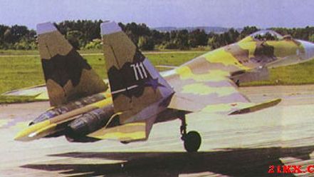 Su-37 fighter（A Russian multirole, all-weather, supersonic, jet-powered ...