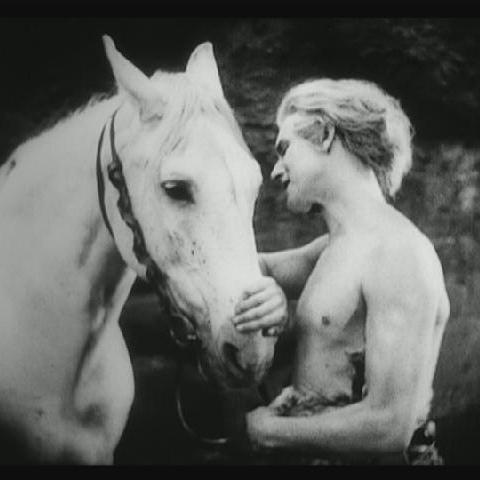 ニーベルンゲンの歌（1924年のドイツ映画で、フリッツ・ラングが監督を