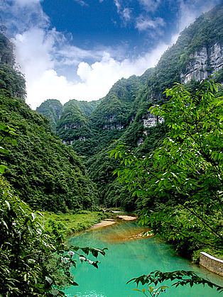 Monkey Valley_Baiduwiki