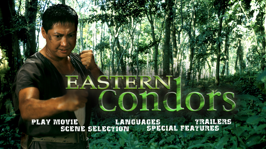 Eastern Condors（A 1987 action war film directed by Sammo Hung.）_Baiduwiki
