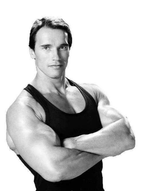 Arnold Schwarzenegger（American actor, bodybuilder, American Republican ...