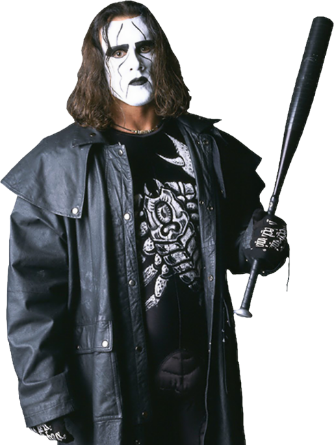 貴重！1点モノ　WWE WCW TNA　新日　スティング　コスチュームカスタム スティング（WWE・TNA殿堂入りプロレスラー）_百度百科