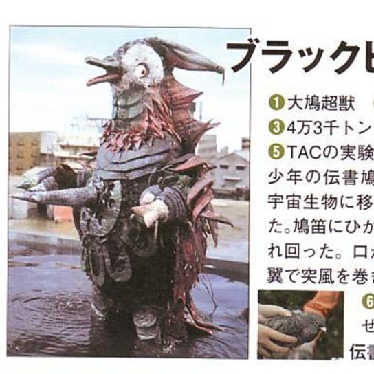 ブラックピジョン_百度百科