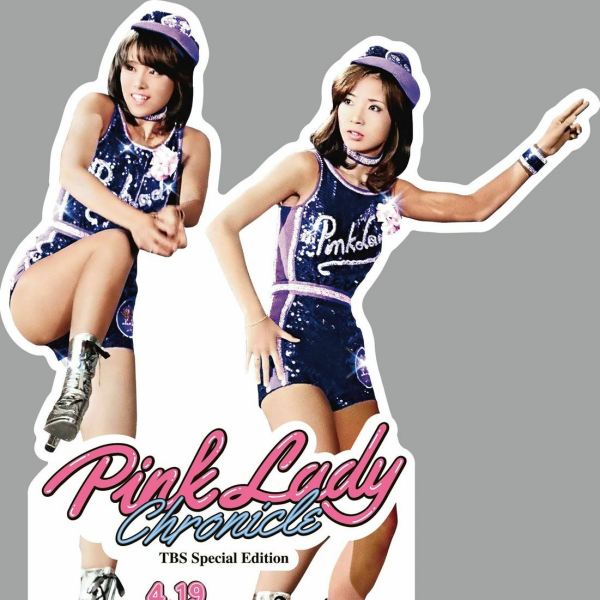 Pink Lady（a Japanese female idol group active in the mid-1970s