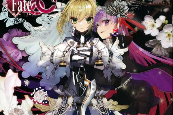 フェイト/エクストラ CCC_百度百科