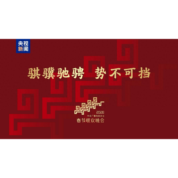 CCTV 中央広播電視台 中国新春カウントダウン張雲龍 畢雯珺 【公式通販】