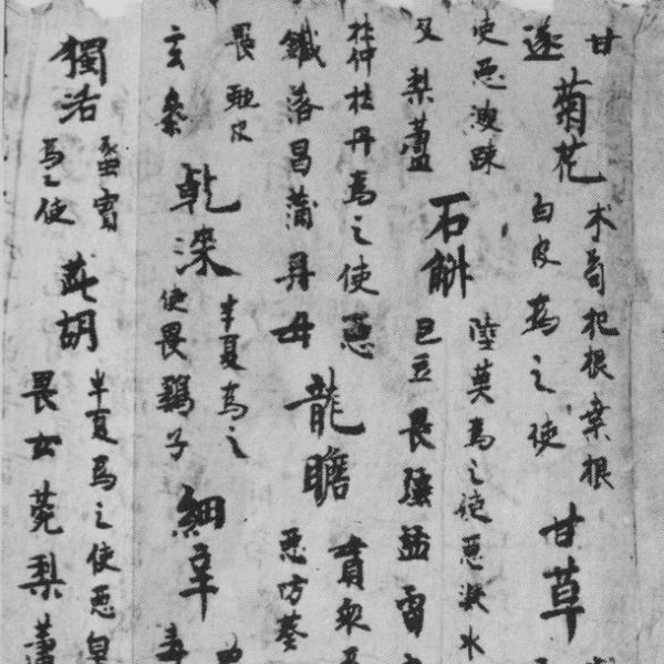 神農本草経_百度百科