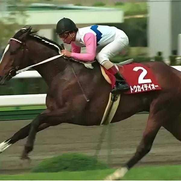 トウカイテイオー（日本のサラブレッド競走馬）_百度百科