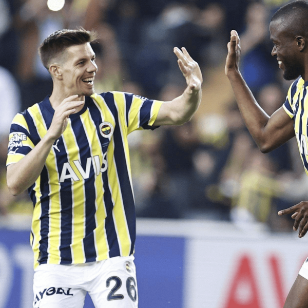 Fenerbahçe Spor Kulübü（トルコのプロサッカークラブ）_百度百科