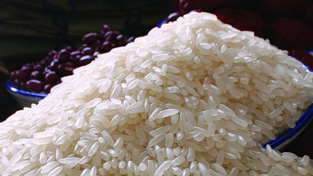 Cat Tooth Rice_Baiduwiki