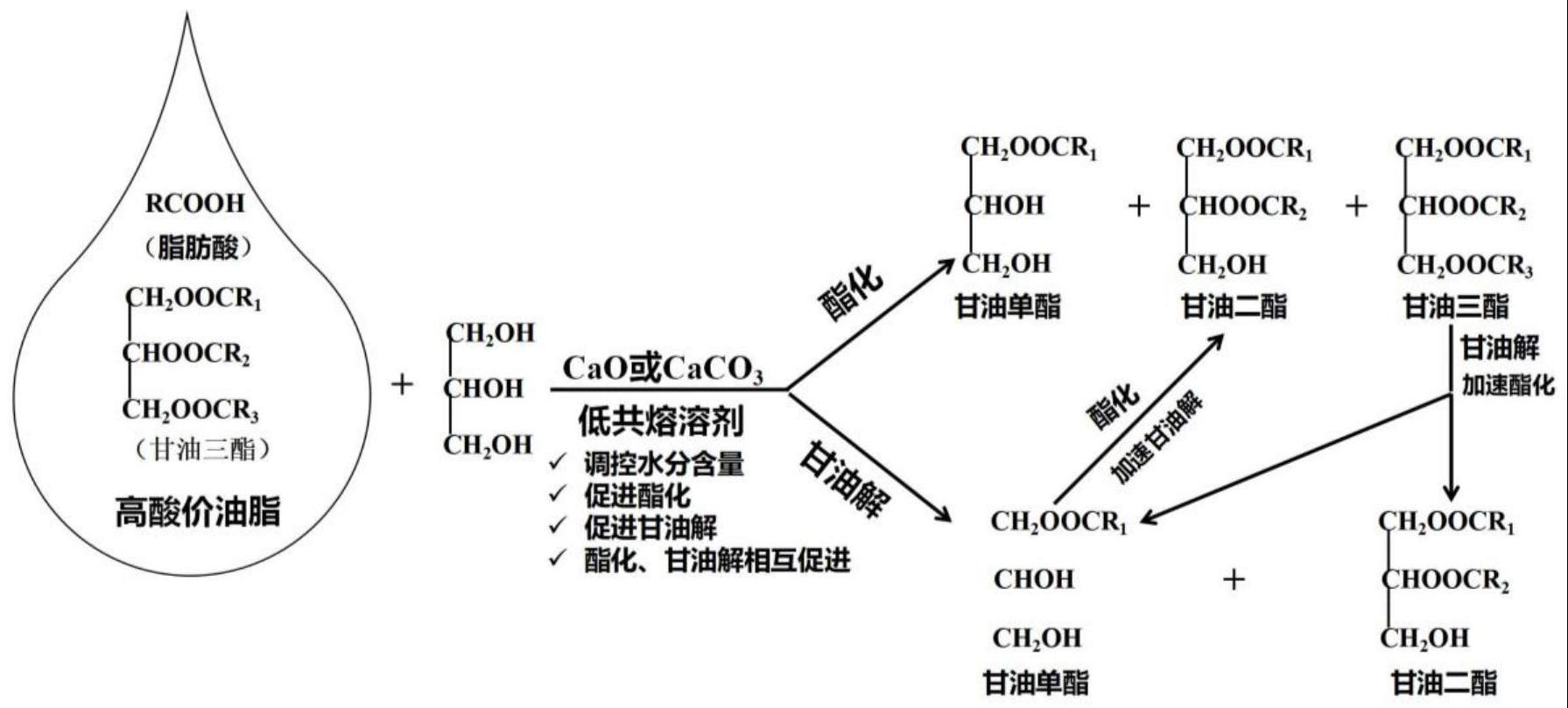 ジアシルグリセロール_百度百科