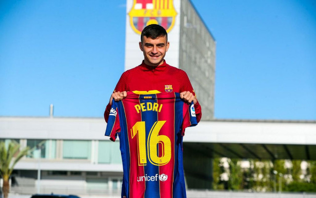 Pedri（Spanish footballer）_Baiduwiki
