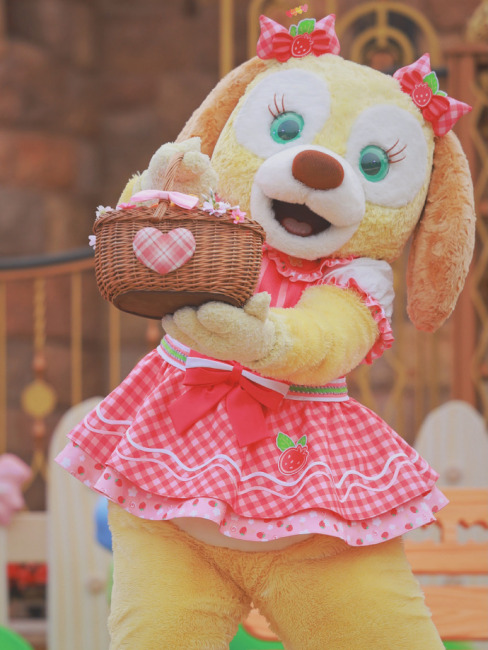 CookieAnn（An original doll character created by The Walt Disney Company ...