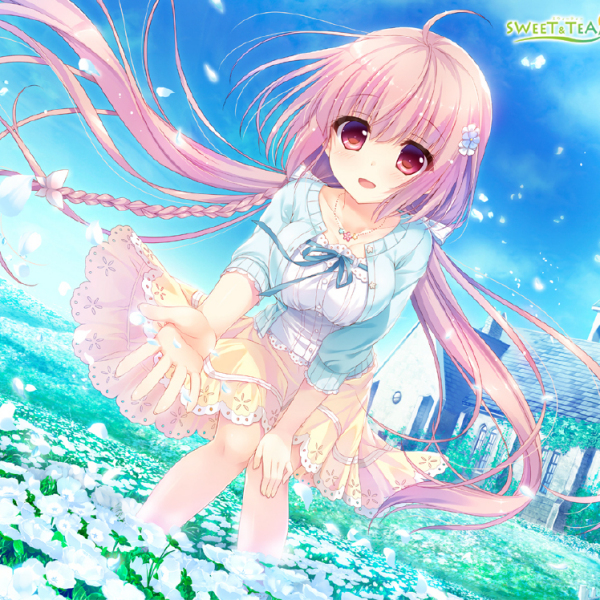 枯れない世界と終わる花_百度百科