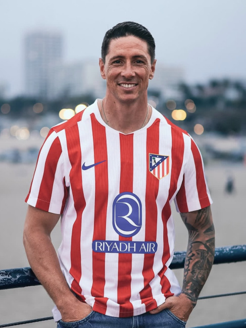 フェルナンド・トーレス_百度百科