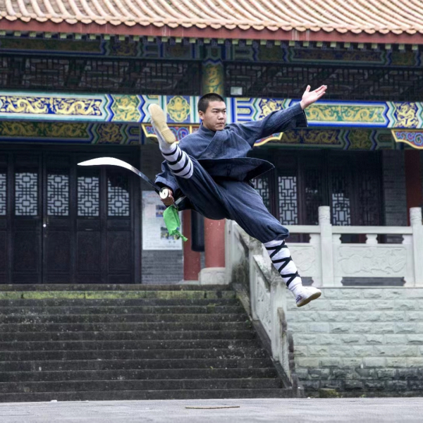 少林武術_百度百科