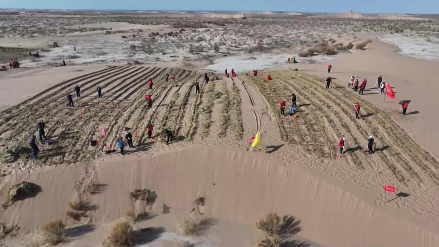 Minqin Desertification Prevention and Control_Baiduwiki