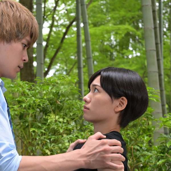 プロミス・シンデレラ_百度百科