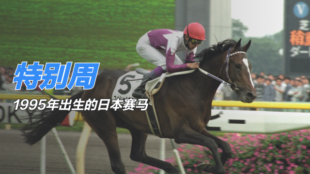 く*ろ様 競走馬　スペシャルウィーク　無口 スペシャルウィーク（1995年生まれの日本競走馬）_百度百科