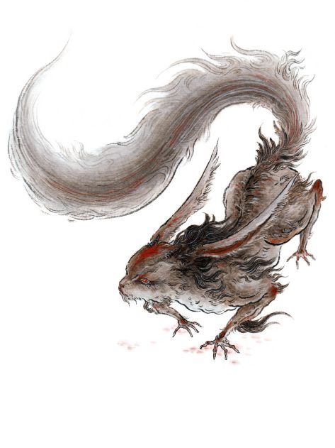 Ear Rat_Baiduwiki