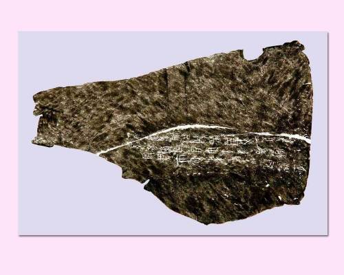 Oracle Bone Inscriptions_Baiduwiki