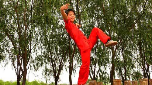 酔拳（中国伝統武術の拳法）_百度百科