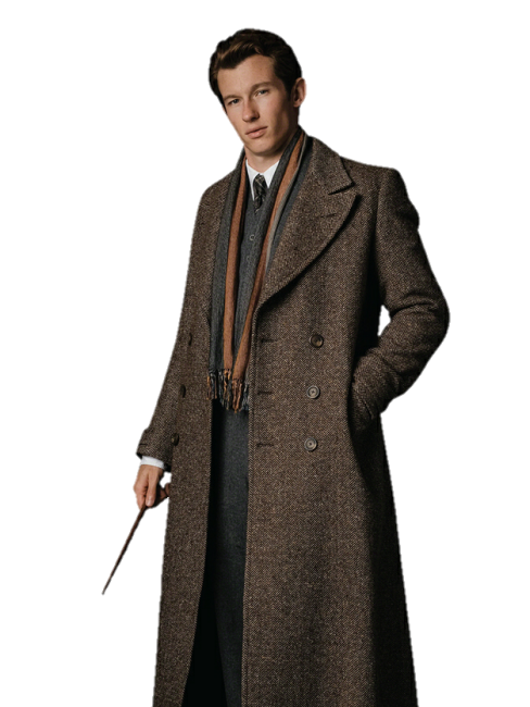 Theseus Scamander（A character in the film *Fantastic Beasts and Where ...
