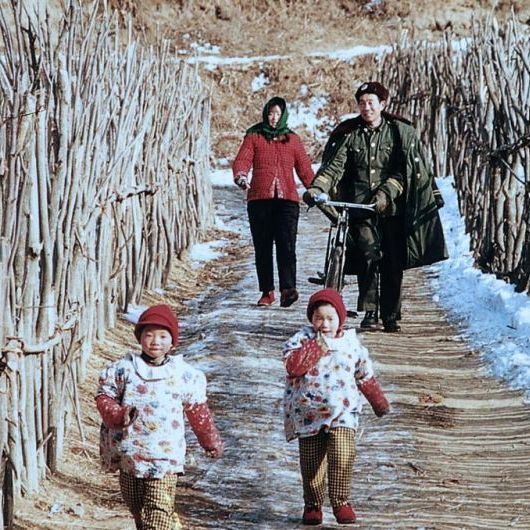 コン・リー主演「秋菊の物語('92中国/香港)」セル版DVD 秋菊の物語 : 作品情報・キャスト・あらすじ - 映画.com