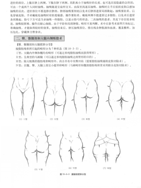 Buttocks（Body part）_Baiduwiki