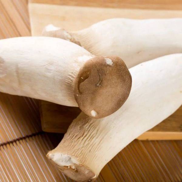 エリンギ_百度百科