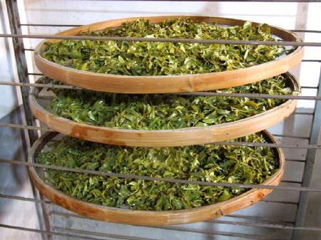 Fujian Oolong Tea Making Technique (Beiyuan Tea)_Baiduwiki