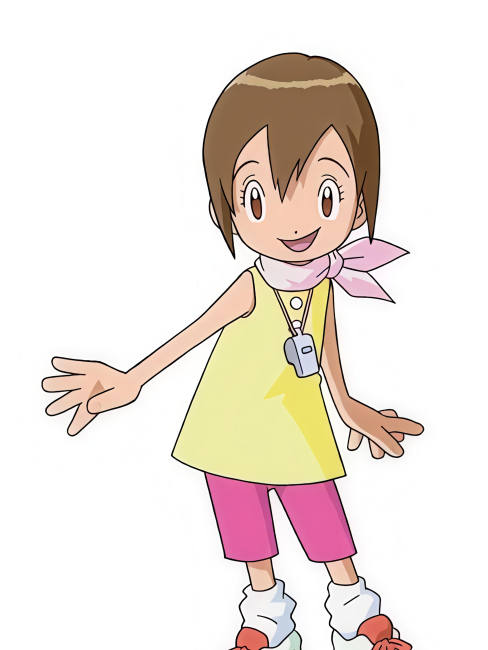 八神ヒカリ_百度百科