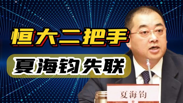 Xia Haijun（Former Vice Chairman and President of the Board of Directors ...