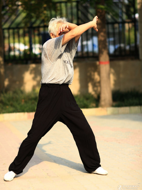 洪拳（湛江洪拳）_百度百科