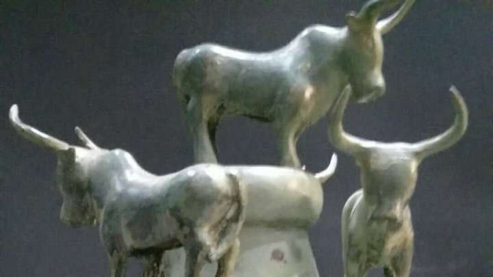 貝貨容器_百度百科