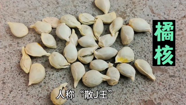 橘核_百度百科