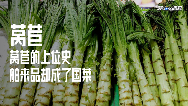 レタス（キク科レタス属植物）_百度百科