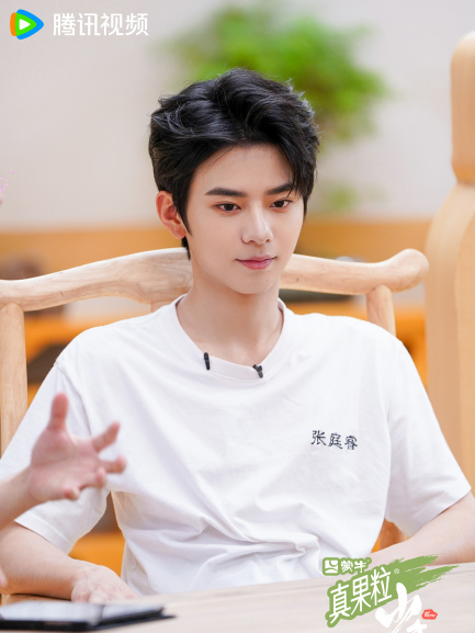 Zhang Tingrui（Mainland Chinese actor）_Baiduwiki