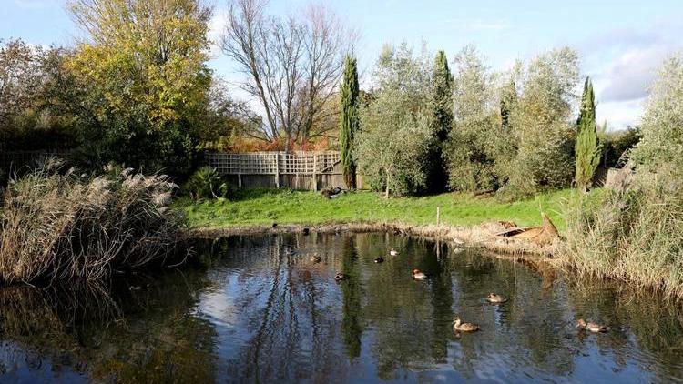London Wetland Centre（An urban wetland park on the banks of the River ...