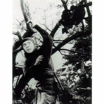 Shinobi no Mono 3: Resurrection_Baiduwiki